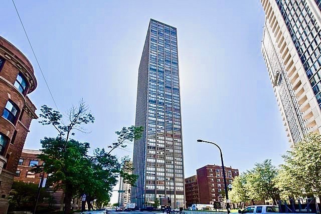 a picture of a tree with a flower pot