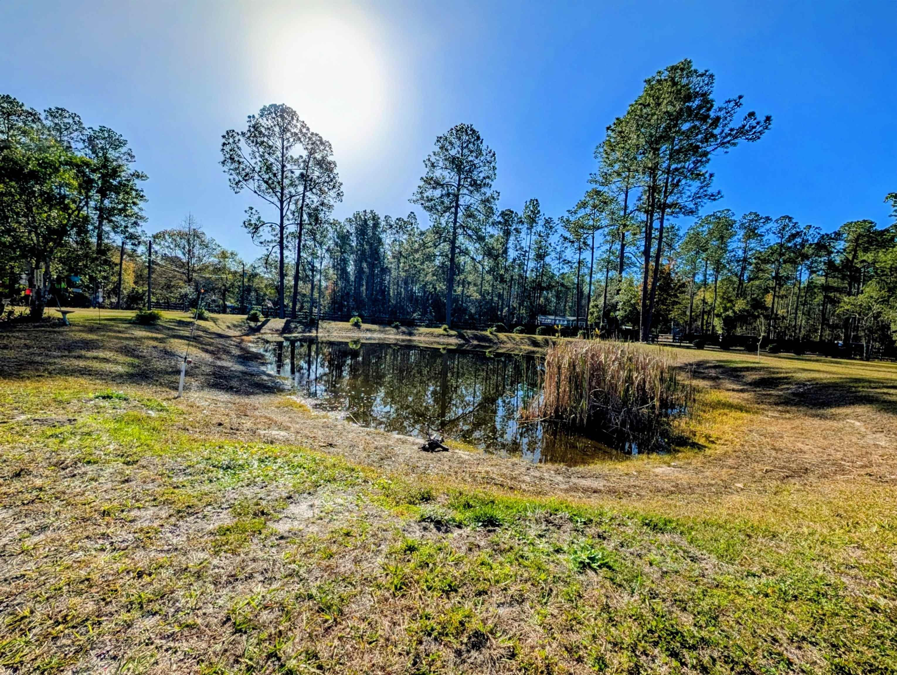 4350 Nancy Street Hastings, FL 32145 - Photo 1 of 12 a backyard of a house with lots of green space