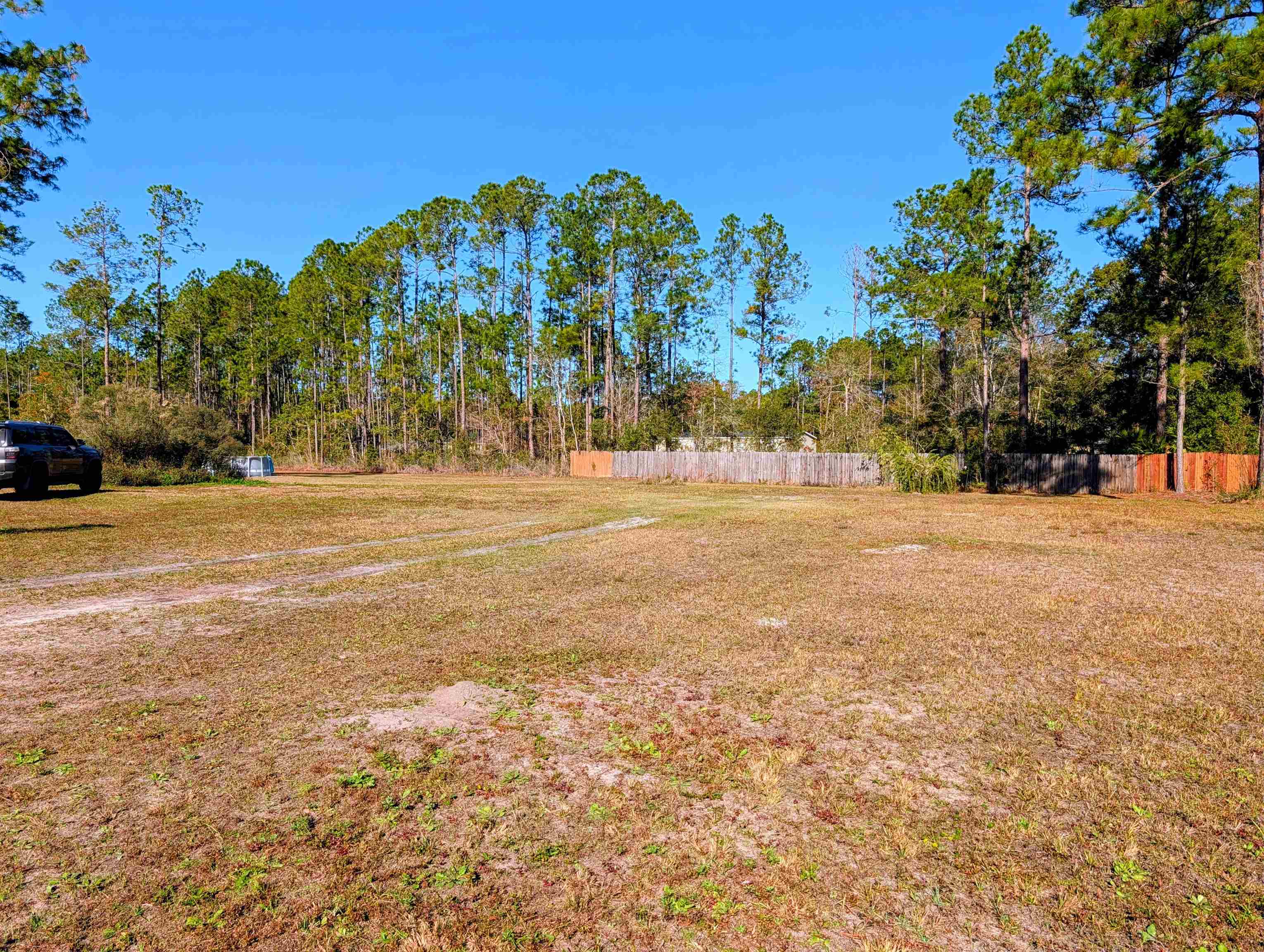 4350 Nancy Street Hastings, FL 32145 - Photo 12 of 12 a view of road with trees