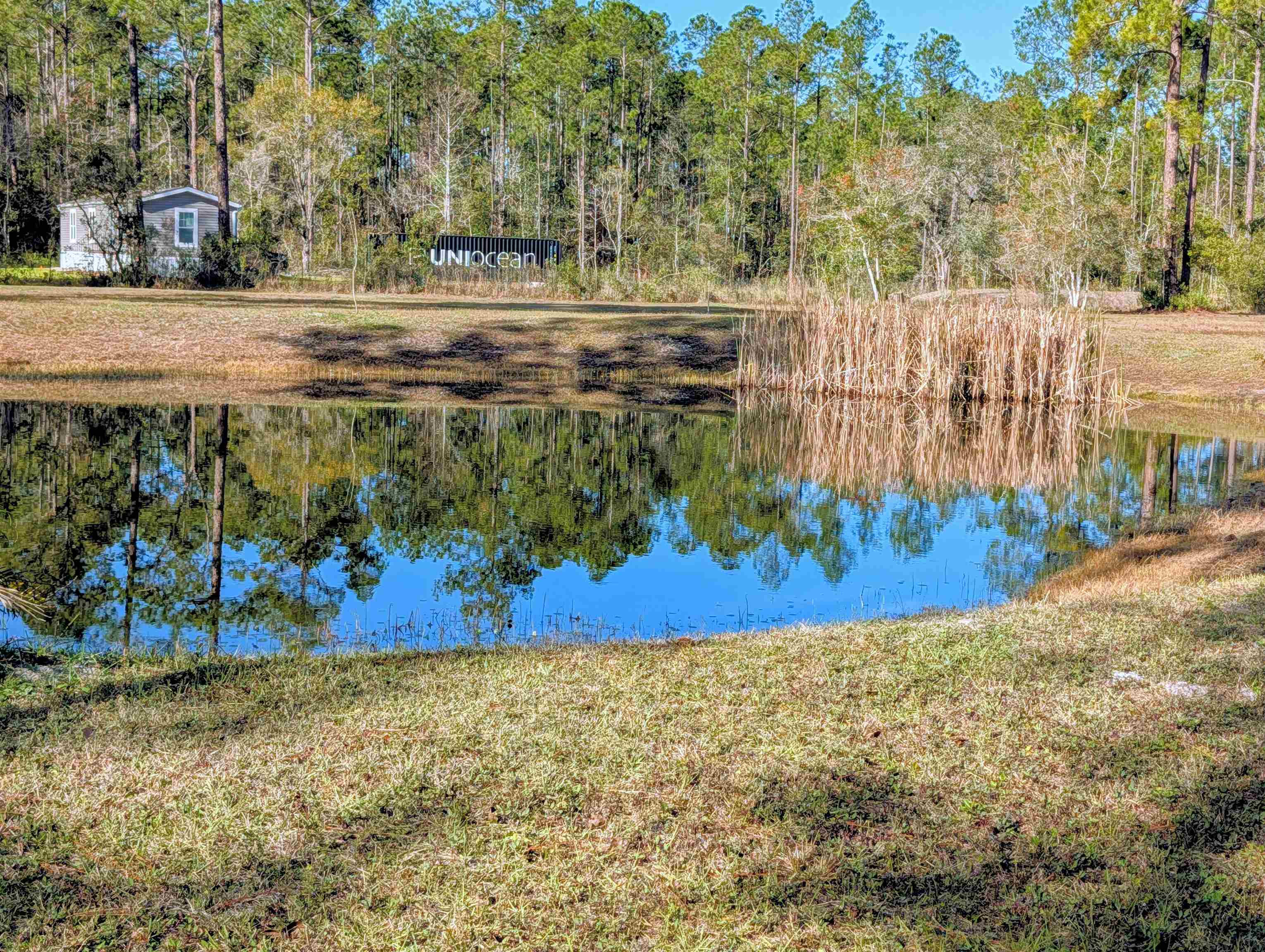 4350 Nancy Street Hastings, FL 32145 - Photo 2 of 12 a view of a yard with plants