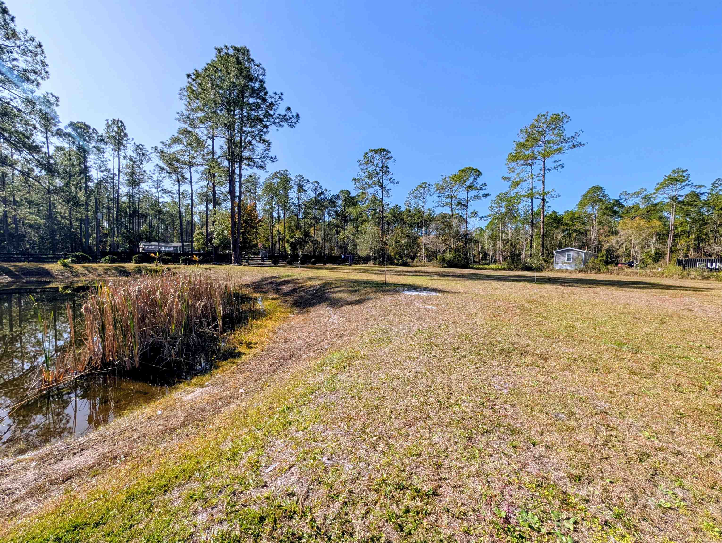 4350 Nancy Street Hastings, FL 32145 - Photo 3 of 12 a view of a lake with a yard
