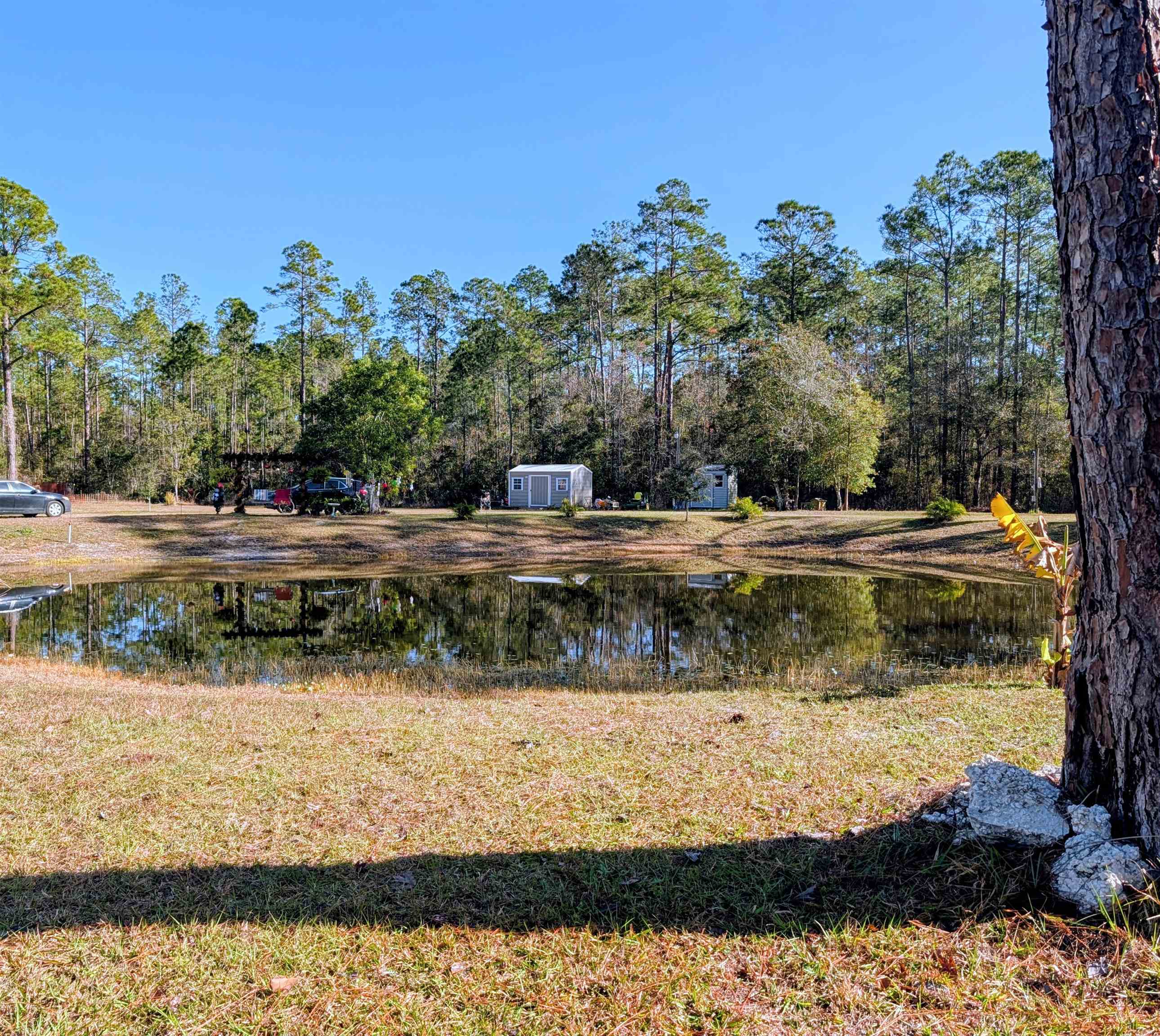 4350 Nancy Street Hastings, FL 32145 - Photo 5 of 12 a view of a water fountain and trees
