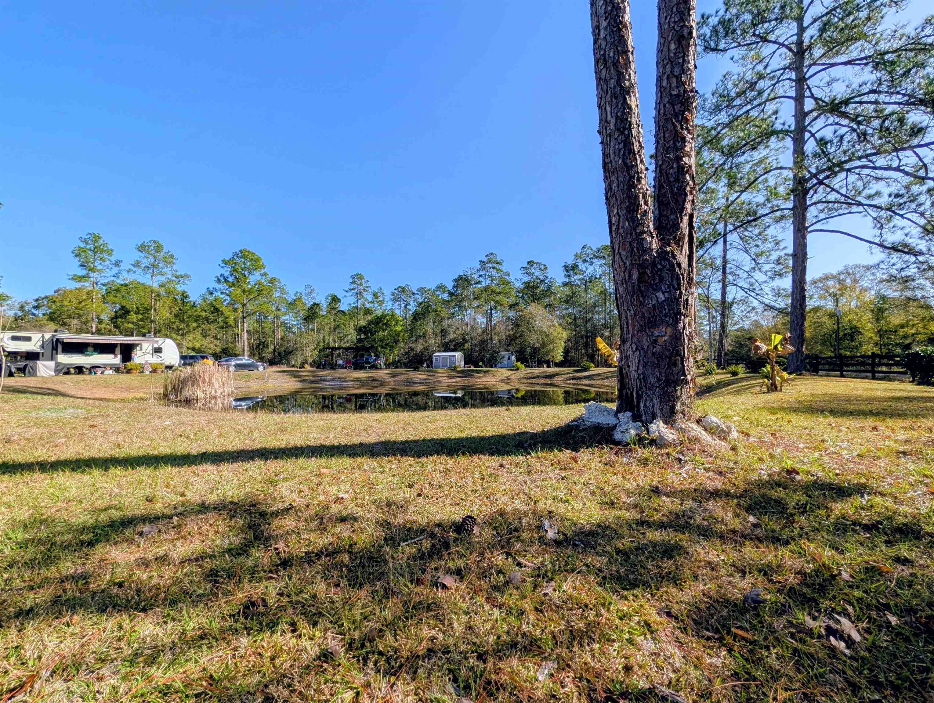 4350 Nancy Street Hastings, FL 32145 - Photo 6 of 12 a view of swimming pool with a yard