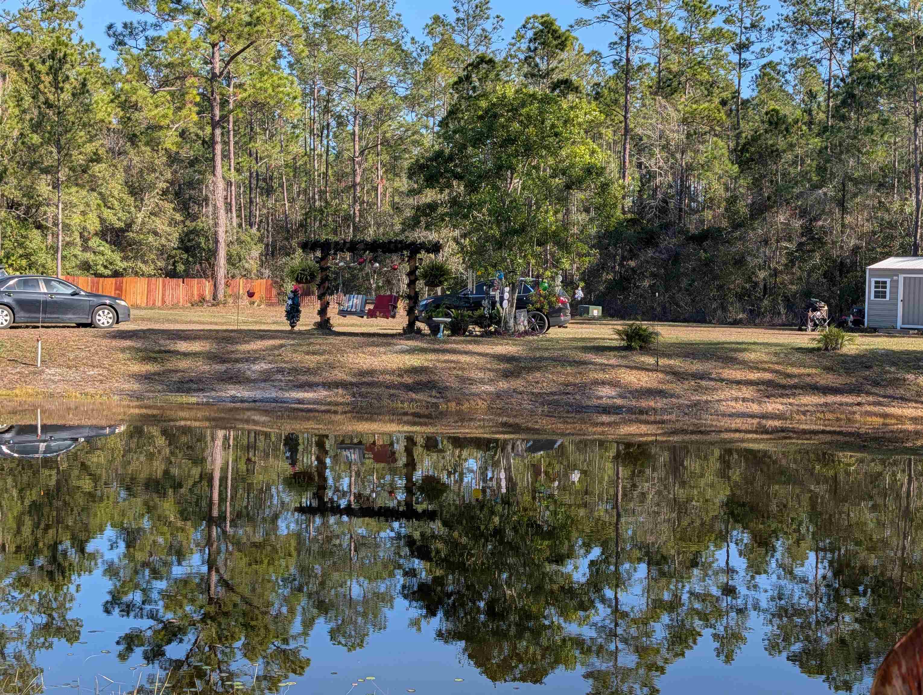 4350 Nancy Street Hastings, FL 32145 - Photo 7 of 12 a view of a yard with plants