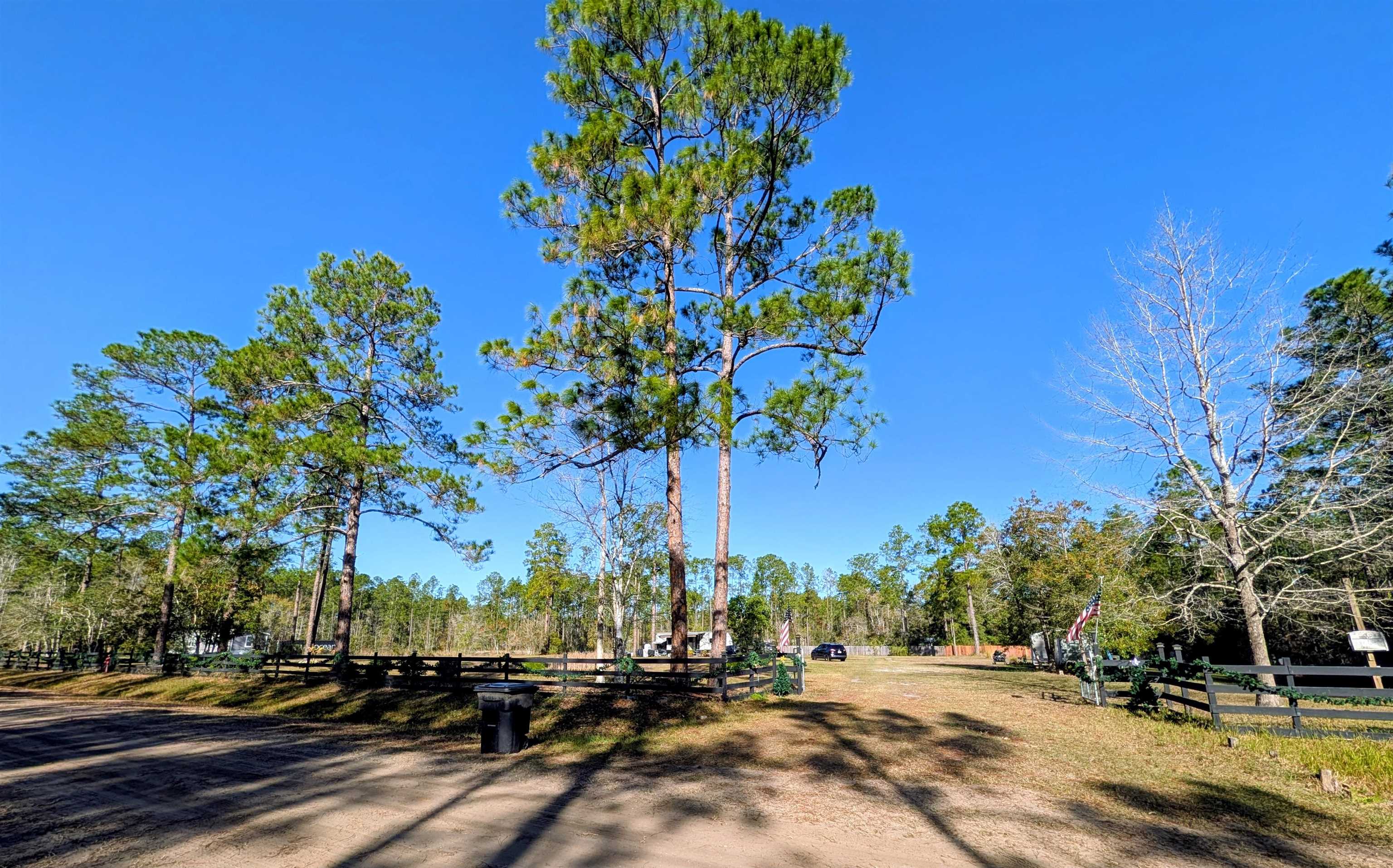 4350 Nancy Street Hastings, FL 32145 - Photo 9 of 12 a view of a street with houses