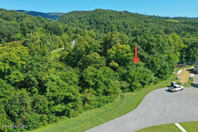 Lot #67 Bayside Boulevard Bean Station, TN 37708 - Photo 11 of 18 New build going in next door