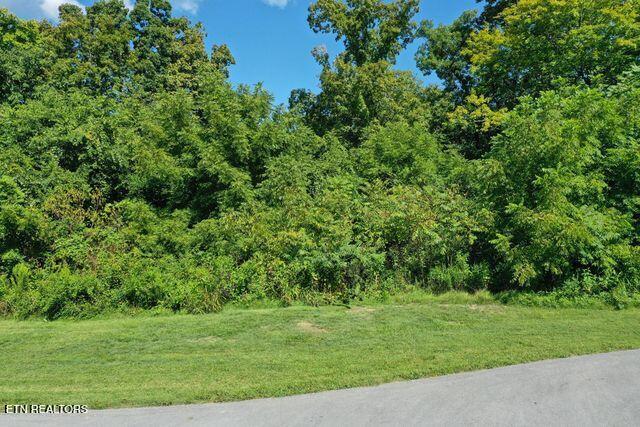 Lot #67 Bayside Boulevard Bean Station, TN 37708 - Photo 13 of 18 Road front