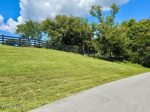 Lot #67 Bayside Boulevard Bean Station, TN 37708 - Photo 14 of 18 Road side entry