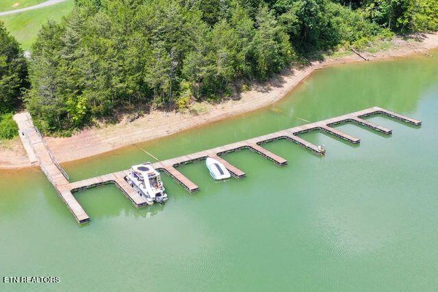 Lot #67 Bayside Boulevard Bean Station, TN 37708 - Photo 16 of 18 Dock at Bayside SD