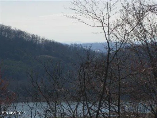 $55,000 | Lot #67 Bayside Boulevard, Bean Station, TN 37708