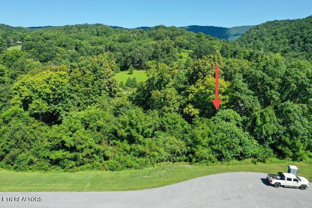 Lot #67 Bayside Boulevard Bean Station, TN 37708 - Photo 18 of 18 Road front