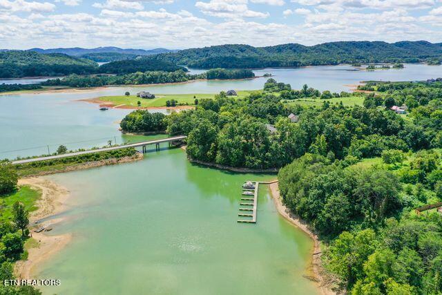 Lot #67 Bayside Boulevard Bean Station, TN 37708 - Photo 7 of 18 Bayside looking over to Cherokee Lake