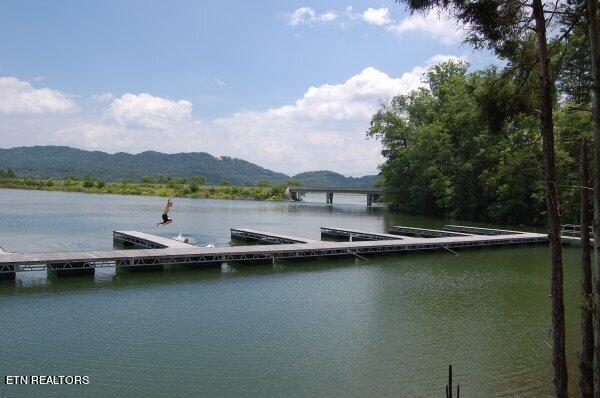 Lot #67 Bayside Boulevard Bean Station, TN 37708 - Photo 8 of 18 Dock