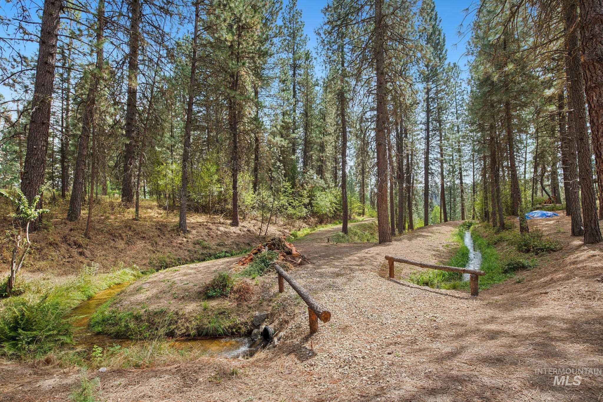 10 Cricket Road Garden Valley, ID 83622 - Photo 11 of 50 View of yard with a wooded view