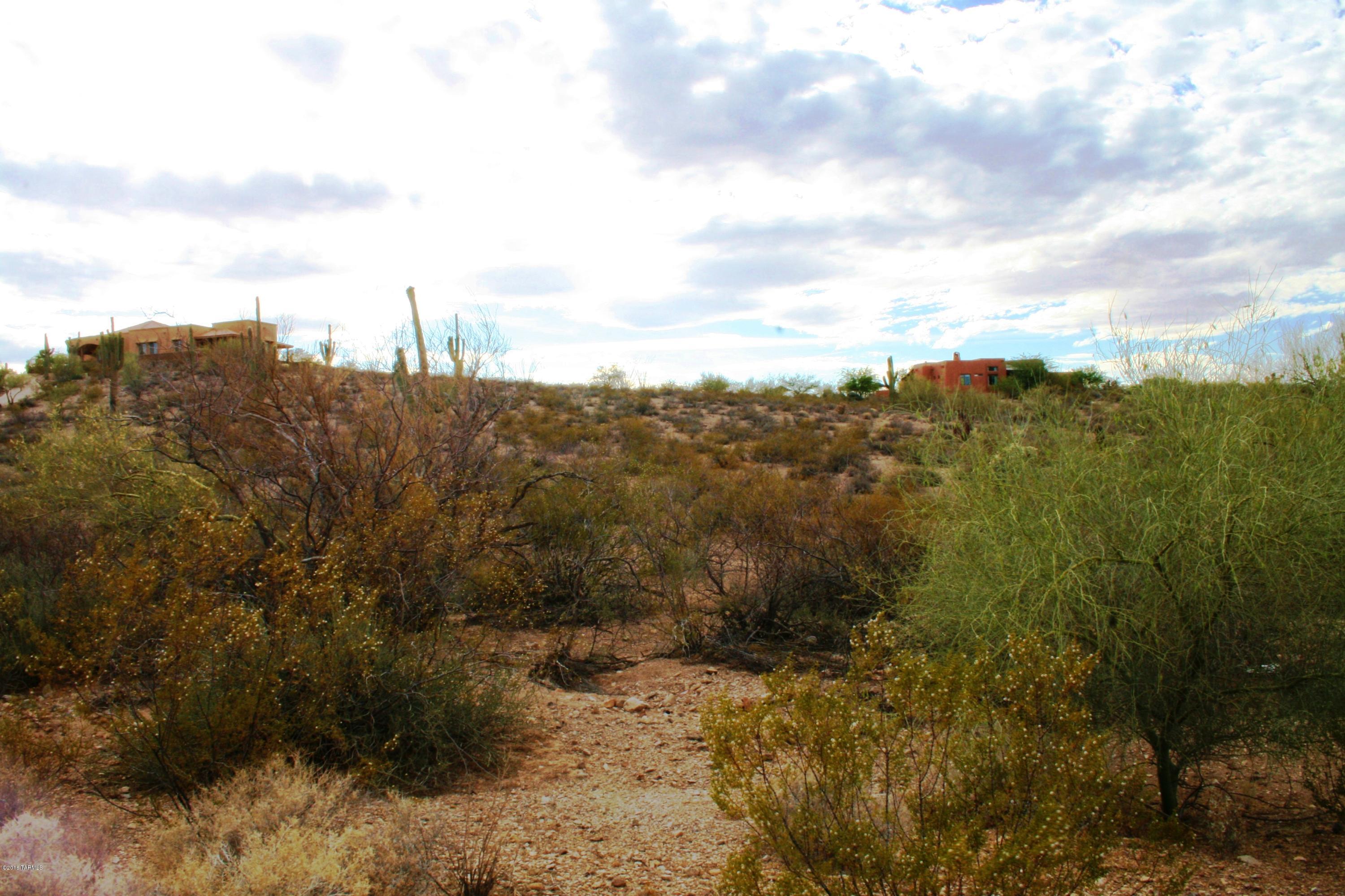 6075 North Abington Road, Unit LOT 4 Tucson, AZ 85743 - Photo 31 of 31