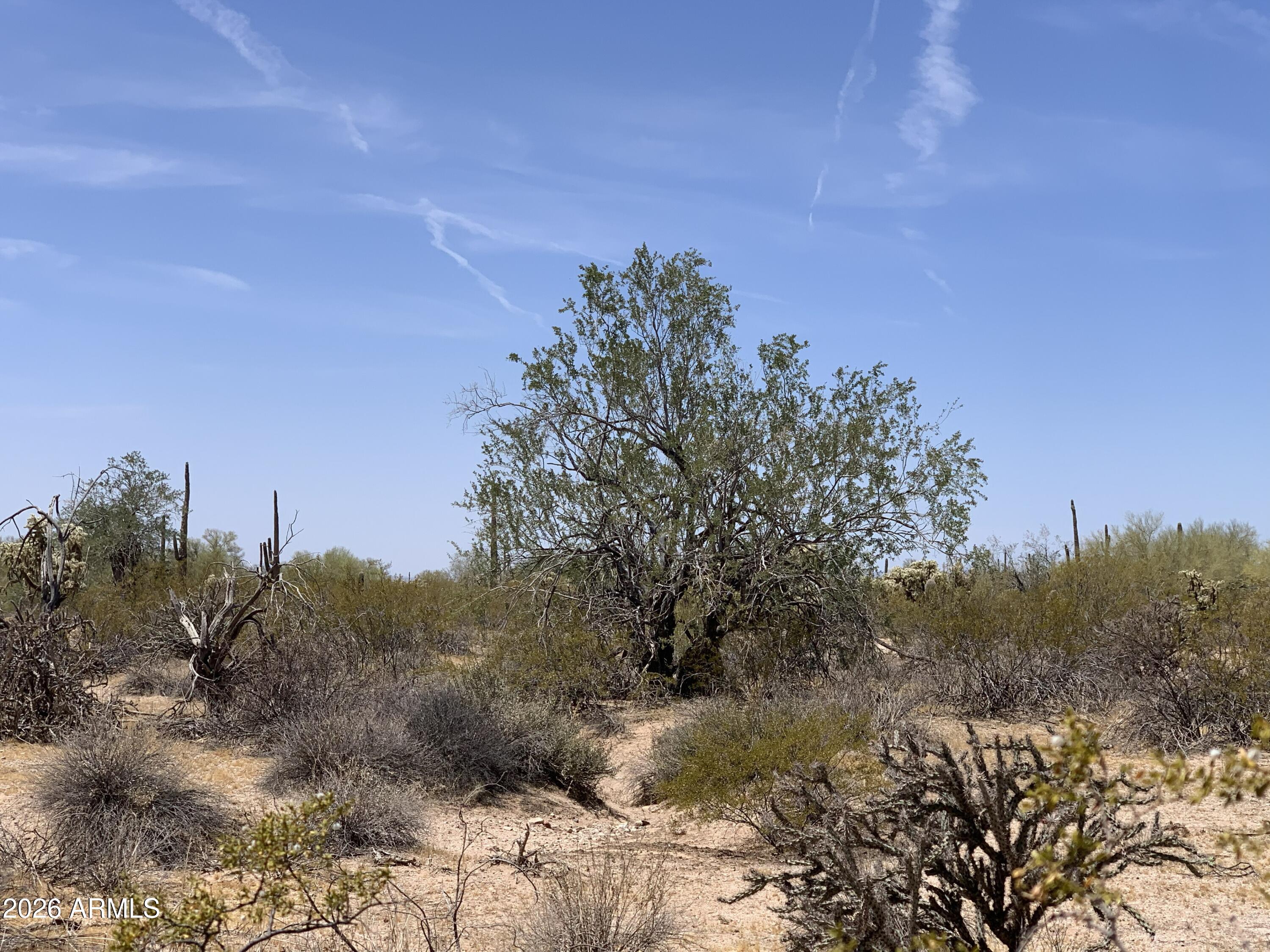 0 East Mayfield Road, Unit W Florence, AZ 85132 - Photo 3 of 16