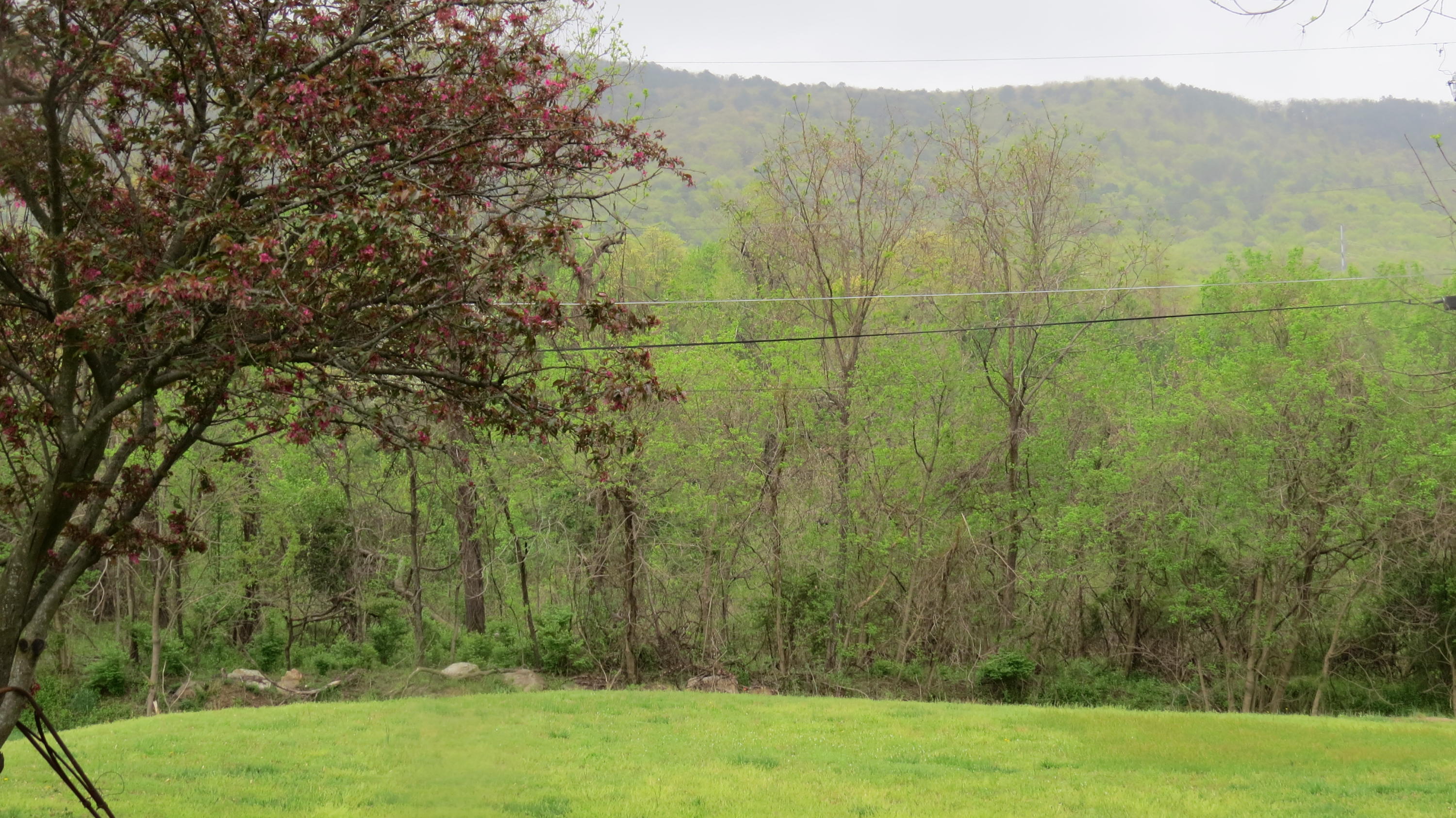 6328 Old Mountain Road Roanoke, VA 24019 - Photo 22 of 23 IMG_4902