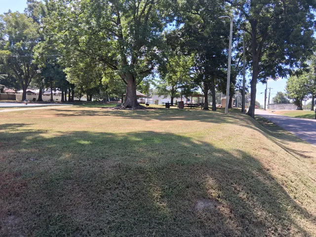 a view of a house with a yard and large trees