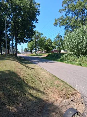 a view of a yard with large trees