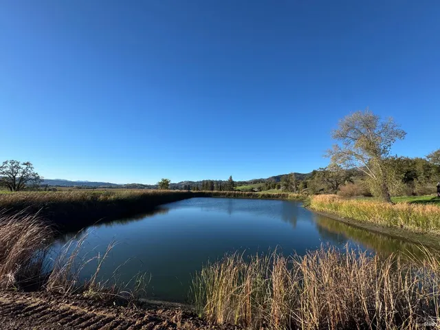 a view of a lake and city
