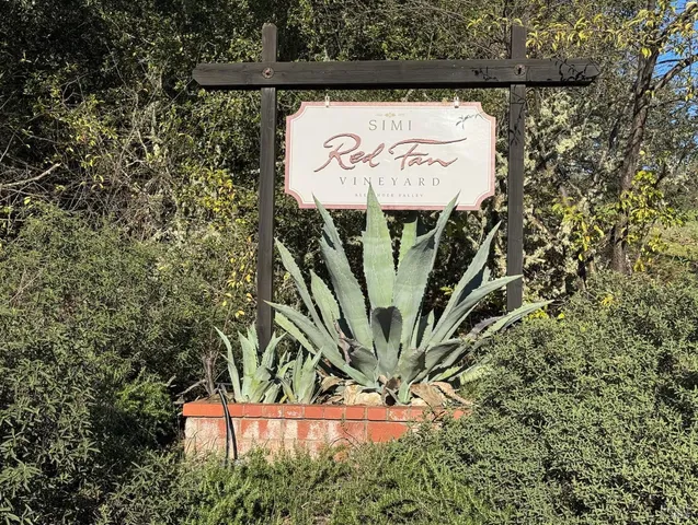 a view of statue in a garden