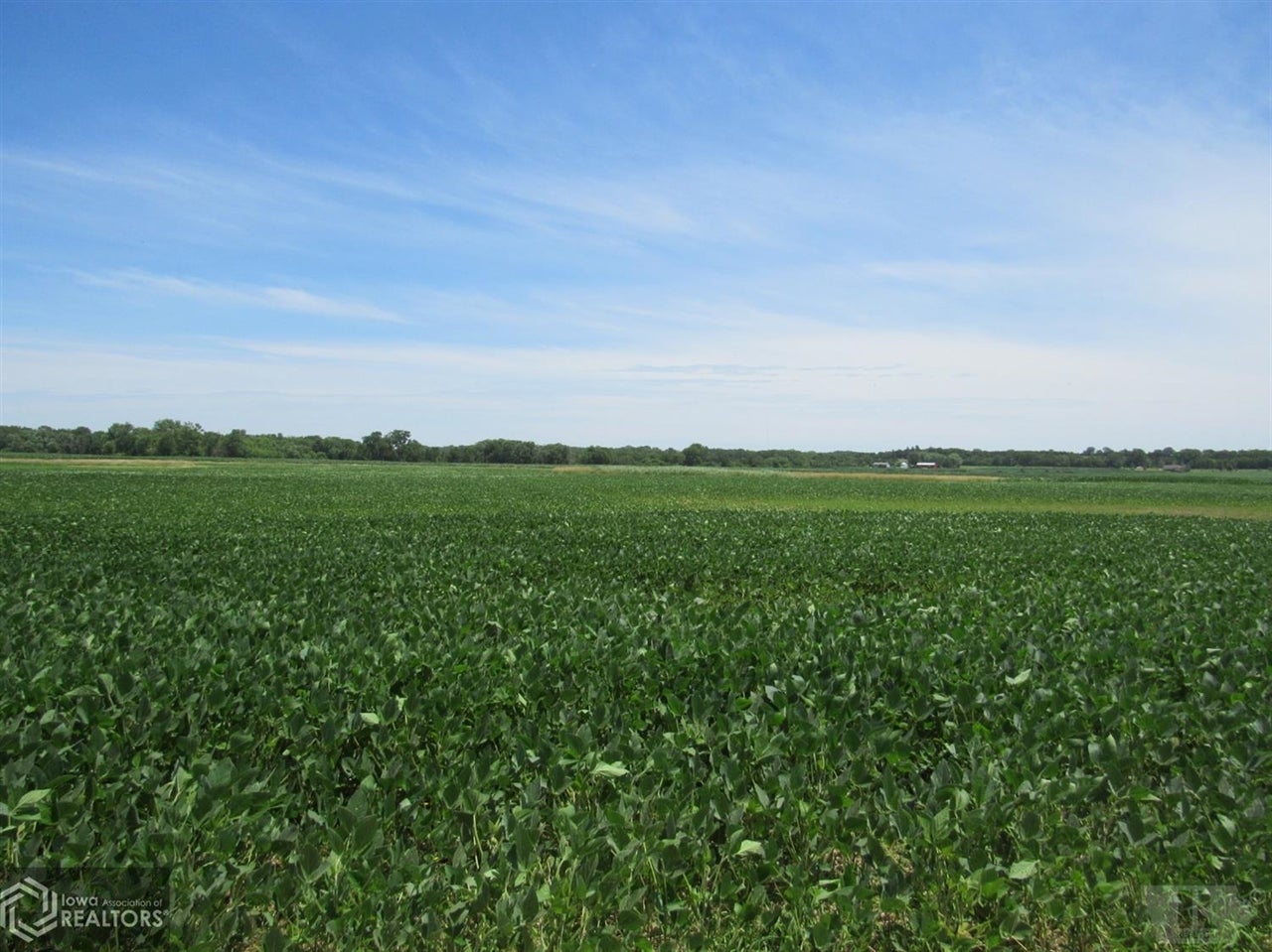 12276 Floris Road Floris, IA 52560 - Photo 5 of 10 Gallery Image 5