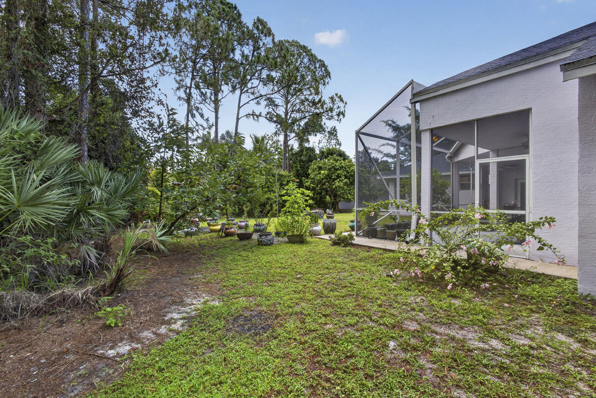 16571 78th Road North The Acreage, FL 33470 - Photo 58 of 66 58-web-or-mls-BS1A0733