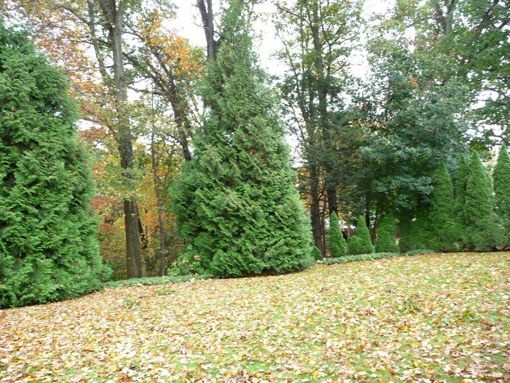 57 Bremen Street Springfield, MA 01108 - Photo 10 of 16 Gallery Image 10
