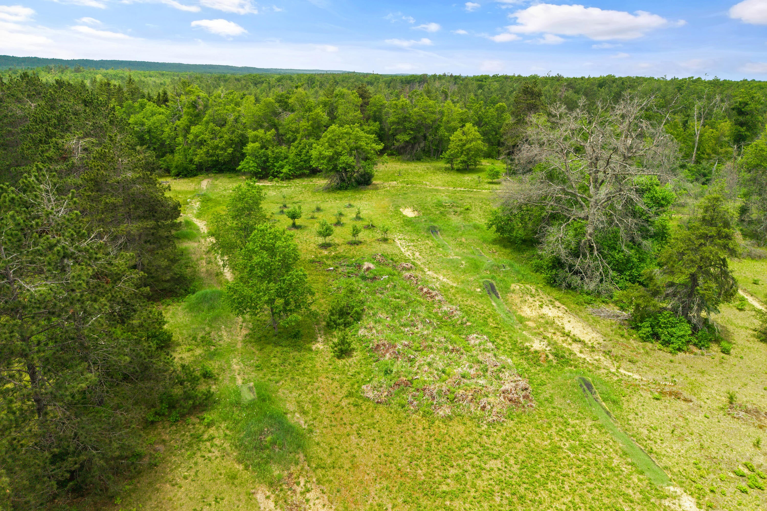 2401 Pearsall Road Fairview, MI 48621 - Photo 63 of 66 Gallery Image 63