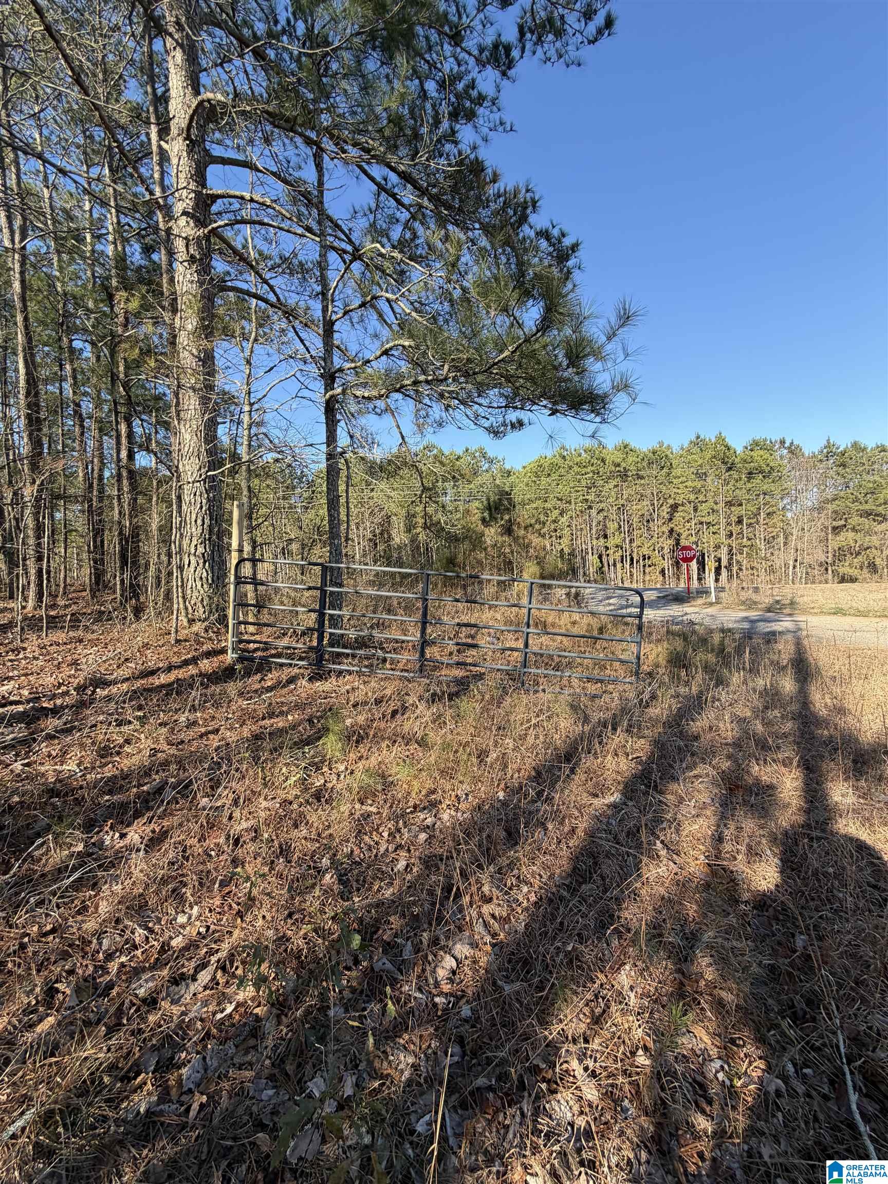 0 Ridge Road Cragford, AL 36255 - Photo 2 of 4