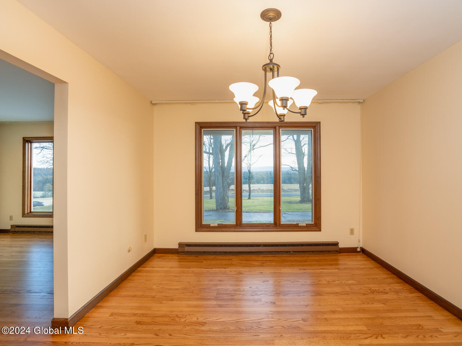 161 Longwoods Road Johnsonville, NY 12094 - Photo 8 of 61 DSC02093-Edit