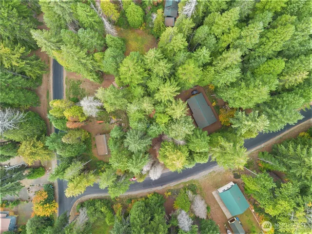 a view of a yard with plants