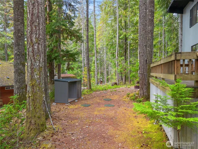 a view of a yard with plants and tree