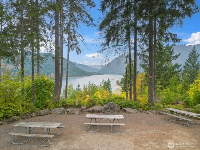 a view of a chair and table in the garden