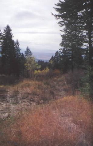 0 Kelly Canyon Road Bozeman, MT 59715 - Photo 1 of 1 Gallery Image 1