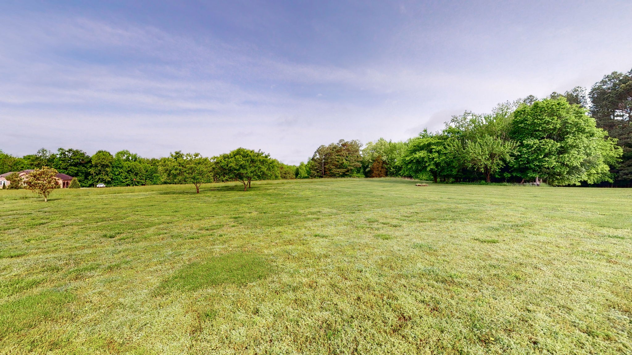 2870 Canoe Branch Road Lebanon, TN 37087 - Photo 40 of 45 a view of a field with plants and trees in the background