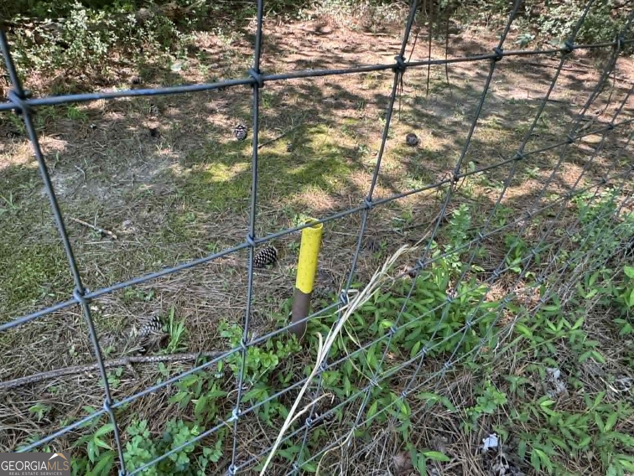 776 Childers Road Colbert, GA 30628 - Photo 23 of 24