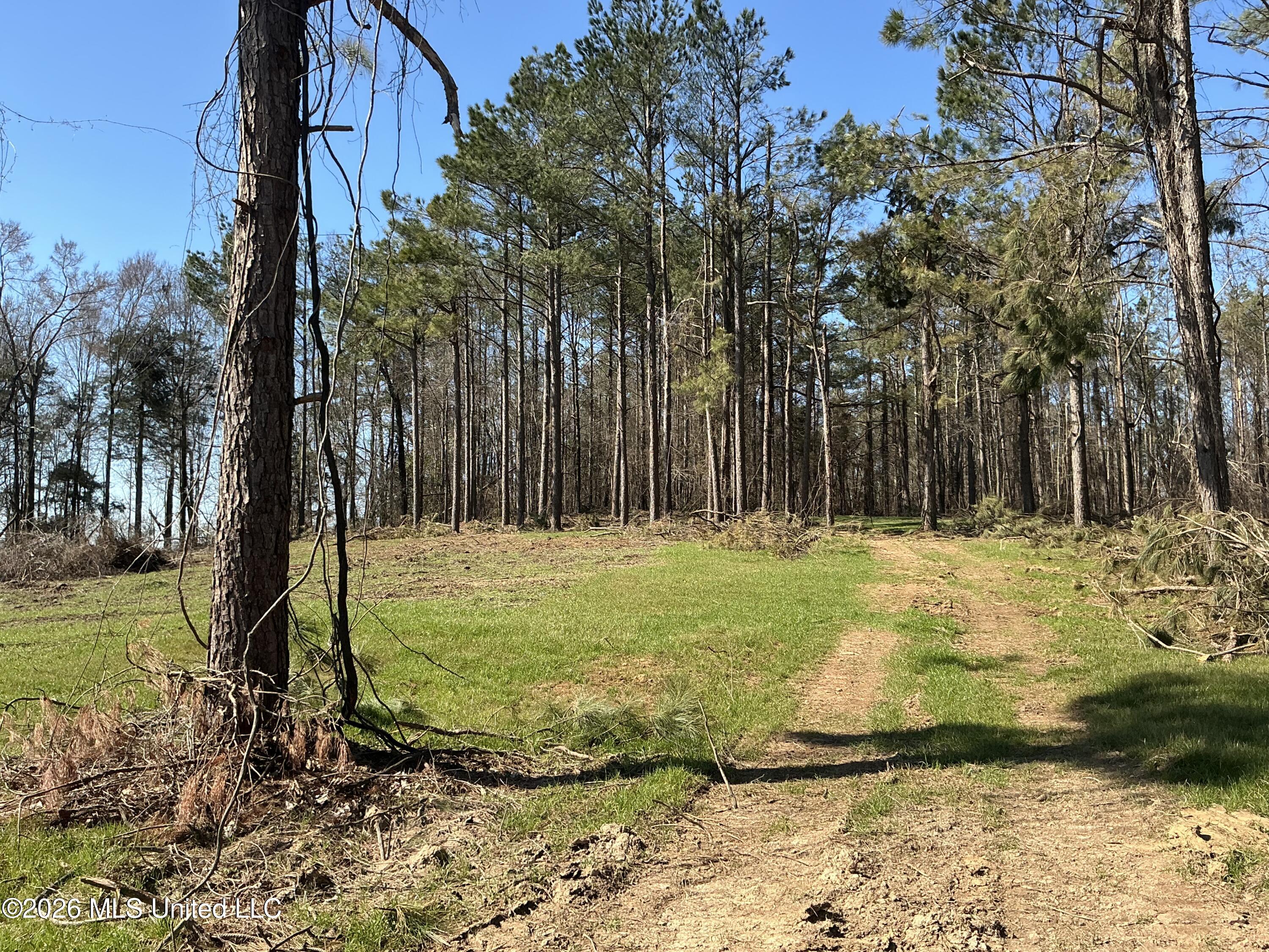 Norwood Road Carrollton, MS 38917 - Photo 13 of 28 IMG_0666