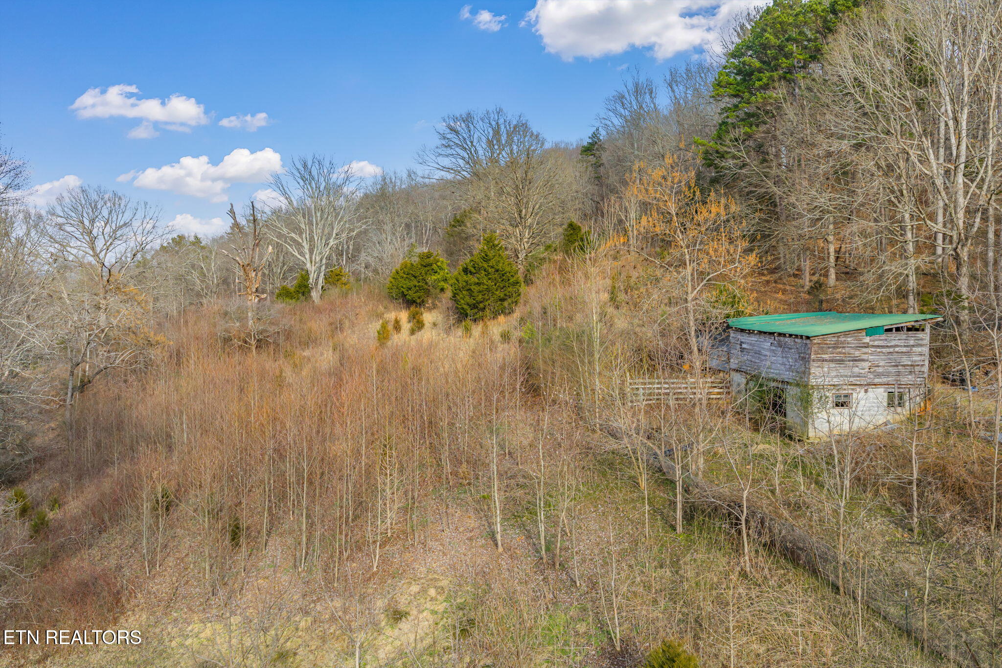 2410 Sugar Grove Valley Road Harriman, TN 37748 - Photo 13 of 51 23-web-or-mls-2410 Sugar Grove Valley-23
