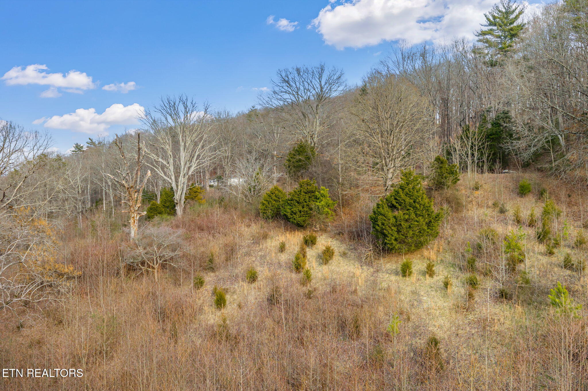 2410 Sugar Grove Valley Road Harriman, TN 37748 - Photo 26 of 51 24-web-or-mls-2410 Sugar Grove Valley-24