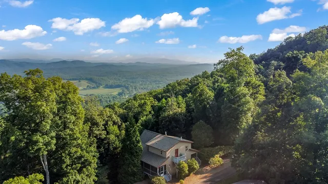 a view of a lake in middle of forest