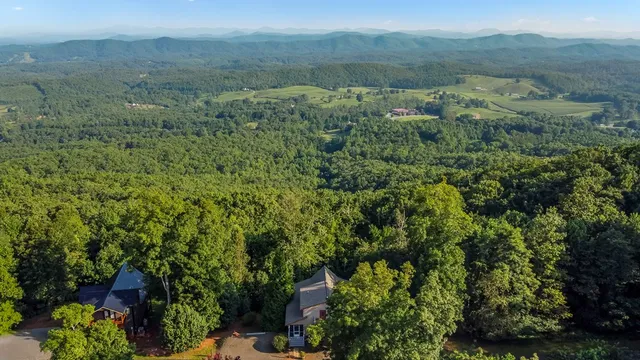 an aerial view of forest