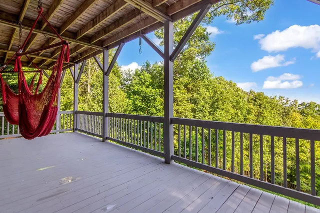 a green field with lots of bushes