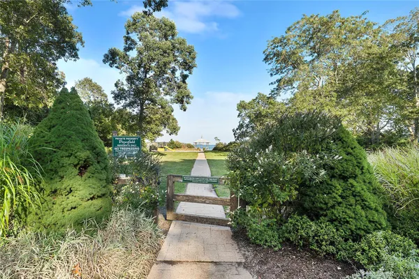a view of a pathway both side of yard