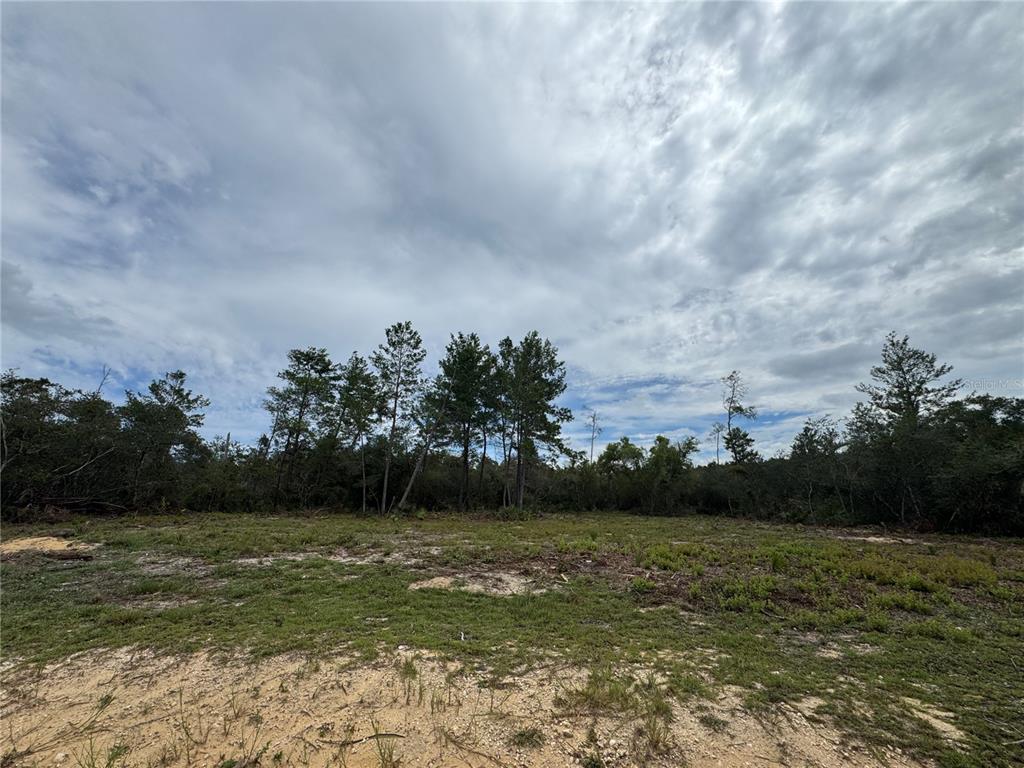 Northeast 135th Street Salt Springs, FL 32134 - Photo 1 of 18 a view of lake with green space