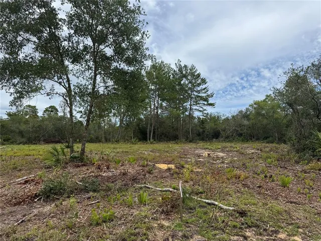 a view of outdoor space with green field and trees