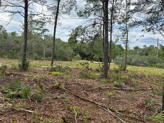 a view of outdoor space with trees