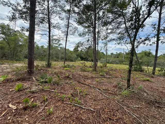 a view of outdoor space with green space