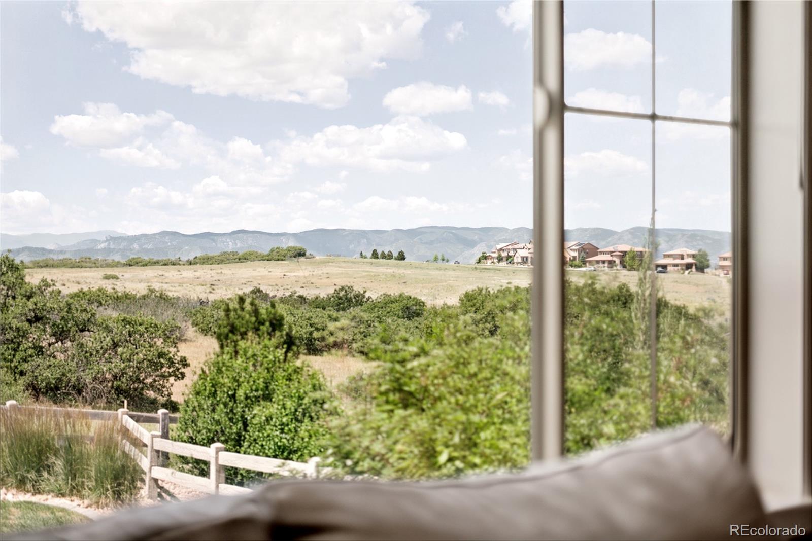 10879 Red Sun Court Highlands Ranch, CO 80126 - Photo 17 of 50