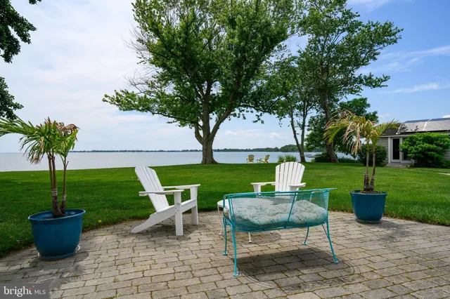 a view of a lake with boats and trees in the background